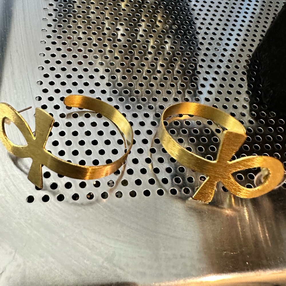 Sassy Jones earrings NWOT … never worn